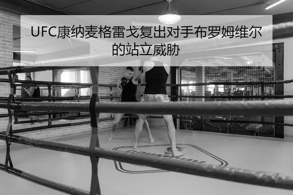 kang-na-mai-ge-lei-ge-fu-chu-dui-shou-bu-luo-mu-wei-er-de-zhan-li-wei-xie-2-753.jpg